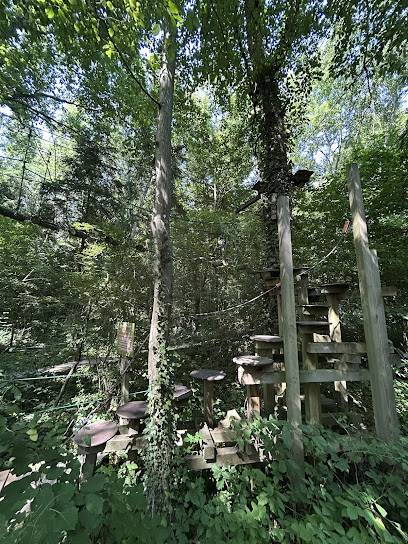 Activité : Nolimit aventure Chevry-Cossigny