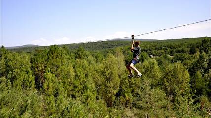 Activité : Accrobranche Indy Parc