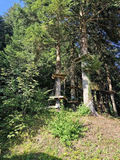 Activité : La Forêt de l'Aventure