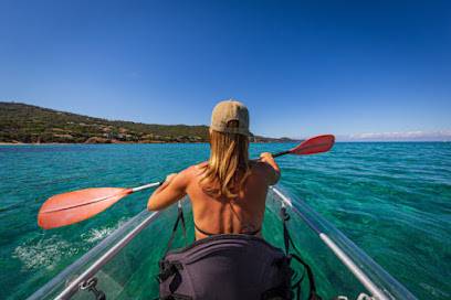 Activité : Chez Mister Paddle