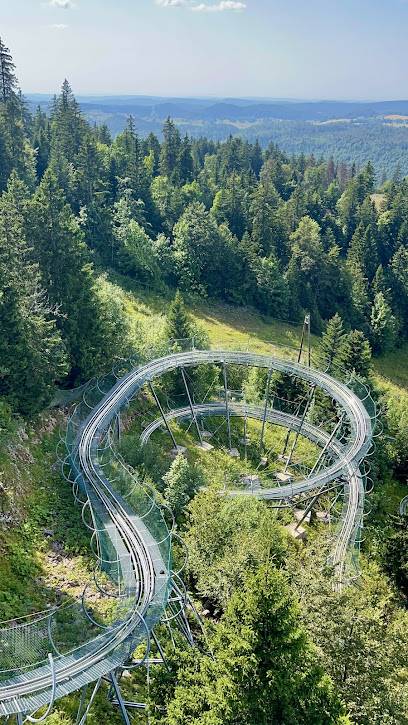 Activité : Luge sur rails