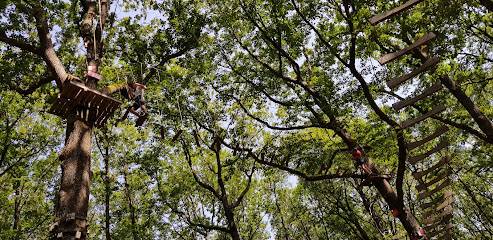 Activité : Parc Aventure des Châtelaines - AB Loisirs - Yonne - Bourgogne - Morvan