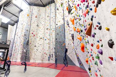 Activité : Climb Up Orléans