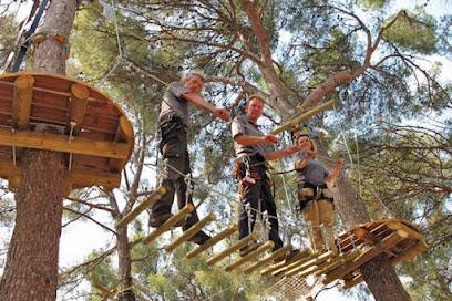Activité : CassisForest