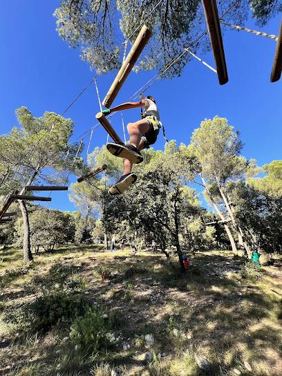 Activité : Forest Sensation