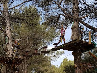 Activité : Indian Forest Figuerolles