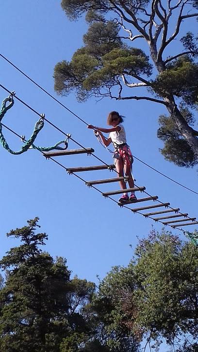 Activité : Ecopark Adventures Marseille | Accrobranche 13