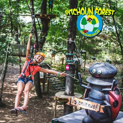 Activité : Pitchoun Forest