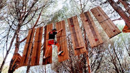 Activité : Grimaud aventure