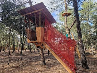 Activité : King Loisirs - Accrobranche, PaintBall, Laser Game