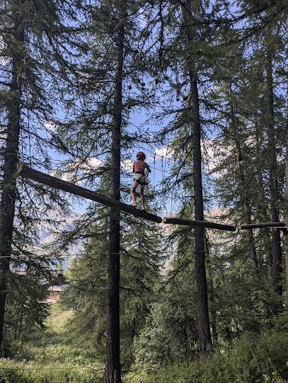 Activité : Forêt Sensations