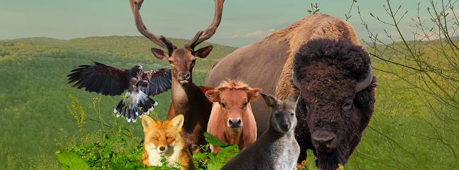 Photo : Parc Animalier du Hérisson