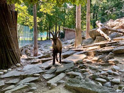Activité : Parc aux animaux du Bois-de-la-Bâtie