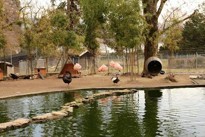 Activité : Parc Animalier