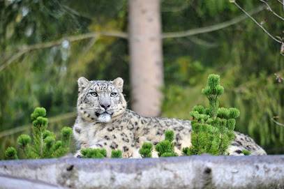 Activité : Zoo de Servion