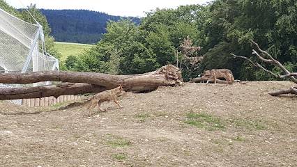 Activité : La Garenne