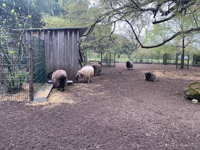 Activité : Les animaux du parc bordelais
