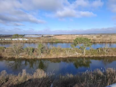 Activité : Réserve Ornithologique du Teich