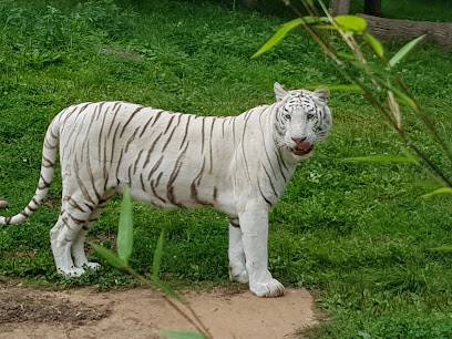 Activité : Parc Zoologique et Végetal de Trégomeur