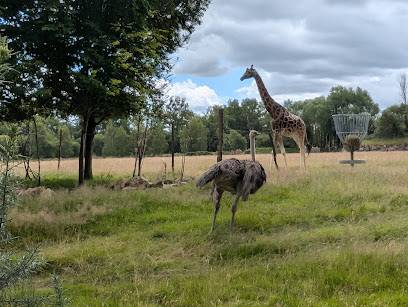 Activité : Parc Animalier de Branféré