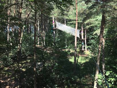 Activité : Aventure Parc
