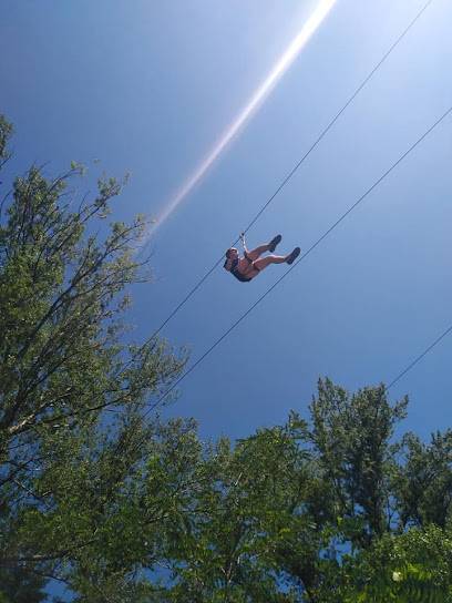 Activité : Forest Aventure