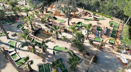 Activité : Aventure Famille - Accrobranches