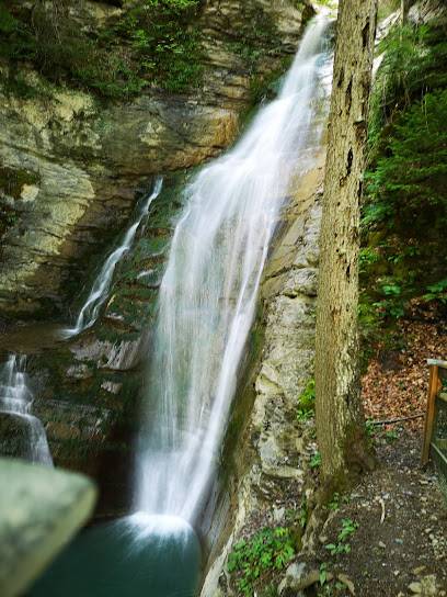 Activité : Cascade Aventure