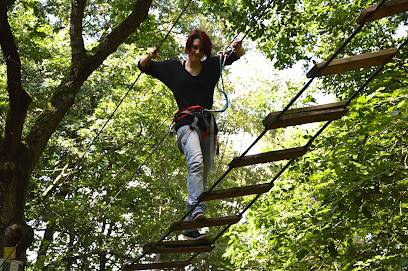 Activité : Accrobranche - Seine Port - Sainte Assise Aventure