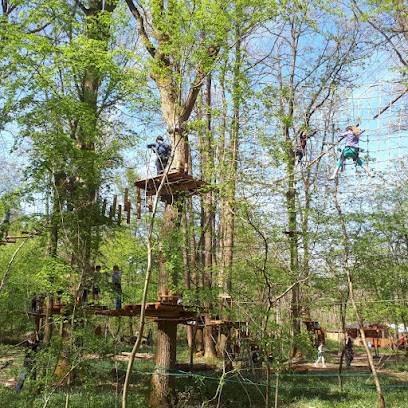 Activité : Forest Arena | Parc de loisirs IDF | Accrobranche 77