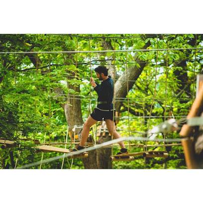 Activité : AccroCamp Saint-Germain-en-Laye | Accrobranche 78