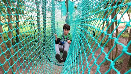 Activité : Jumping Forest, parc de loisirs et accrobranche