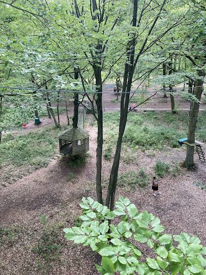 Activité : Parc Canopée