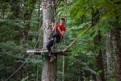Activité : Lugny Acro - Parcours d'aventure en Bourgogne à 15 minutes de Mâcon