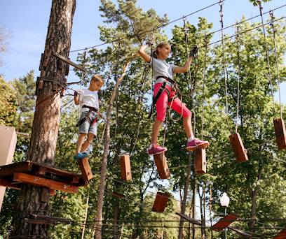 Activité : Parc Aventure THOISSEY