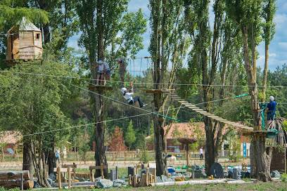 Activité : Accrobranche Center Parcs Le Bois aux Daims