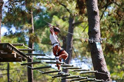 Photo : Parc Accrobranche La Palmyre