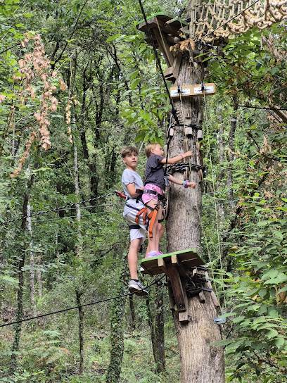 Activité : Accrobranche des écureuils