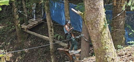 Activité : La Liane De Rose Parc aventure Espalion