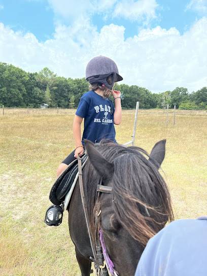 Activité : CENTRE EQUESTRE Catherine SIREIX