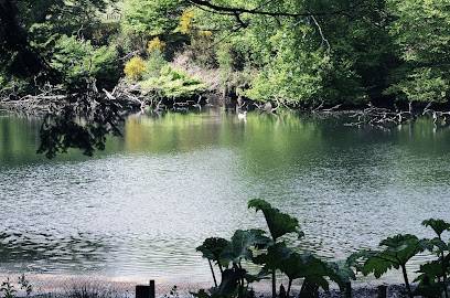 Activité : Parc Animalier Saint Martin Montaigu La Brisette