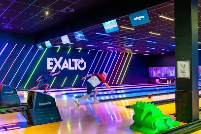 Activité : Exalto Dardilly