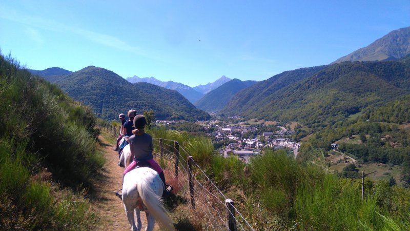 Activité : Equitation