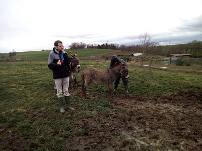 Activité : FERME PEDAGOGIQUE DU BESSY