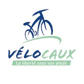 Activité : Location de vélos