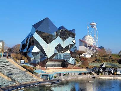 Activité : Futuroscope