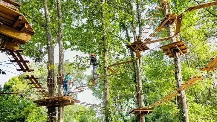 Activité : AccroCamp Nantes | Accrobranche 44