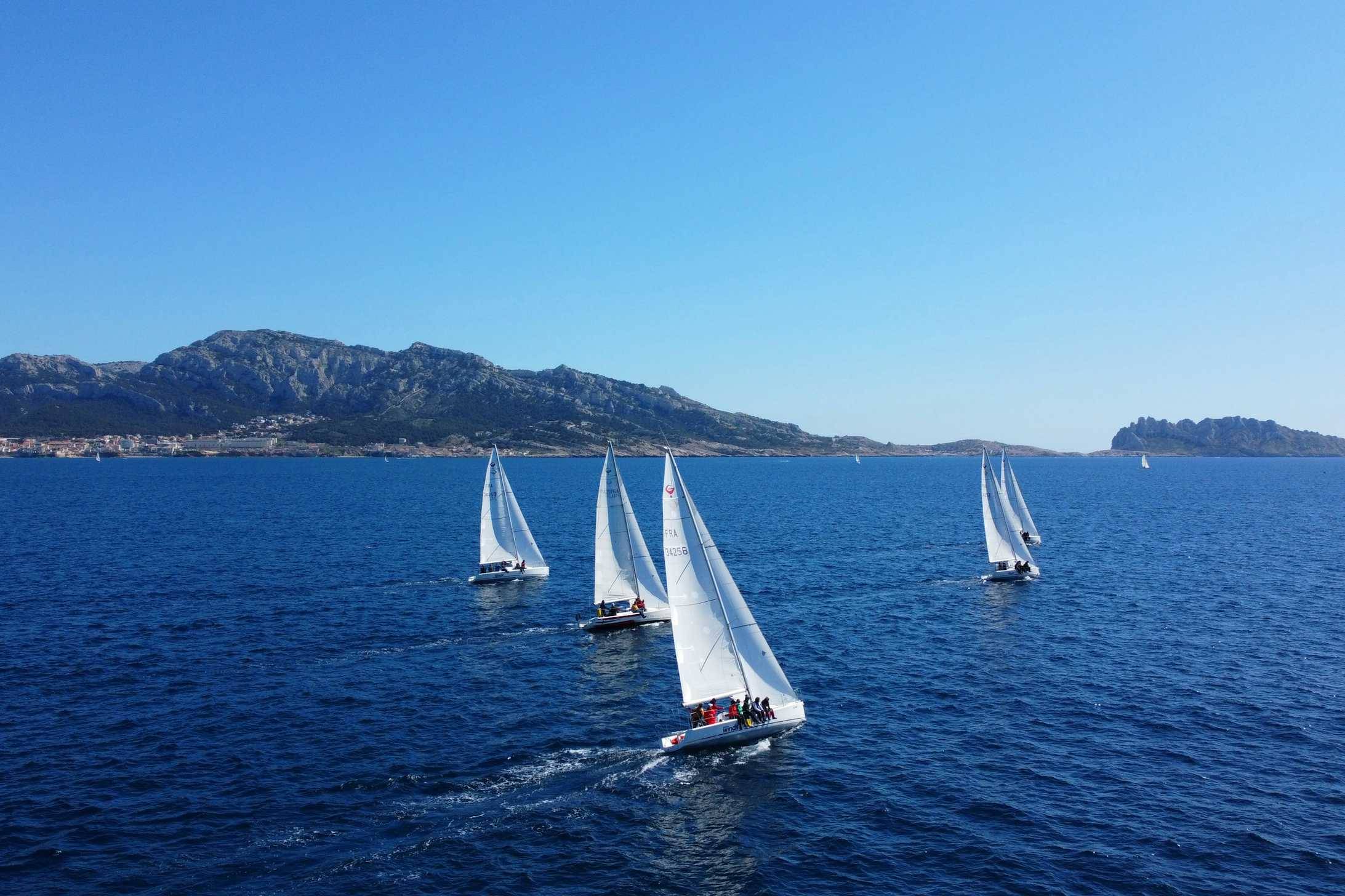Activité : balade à la voile