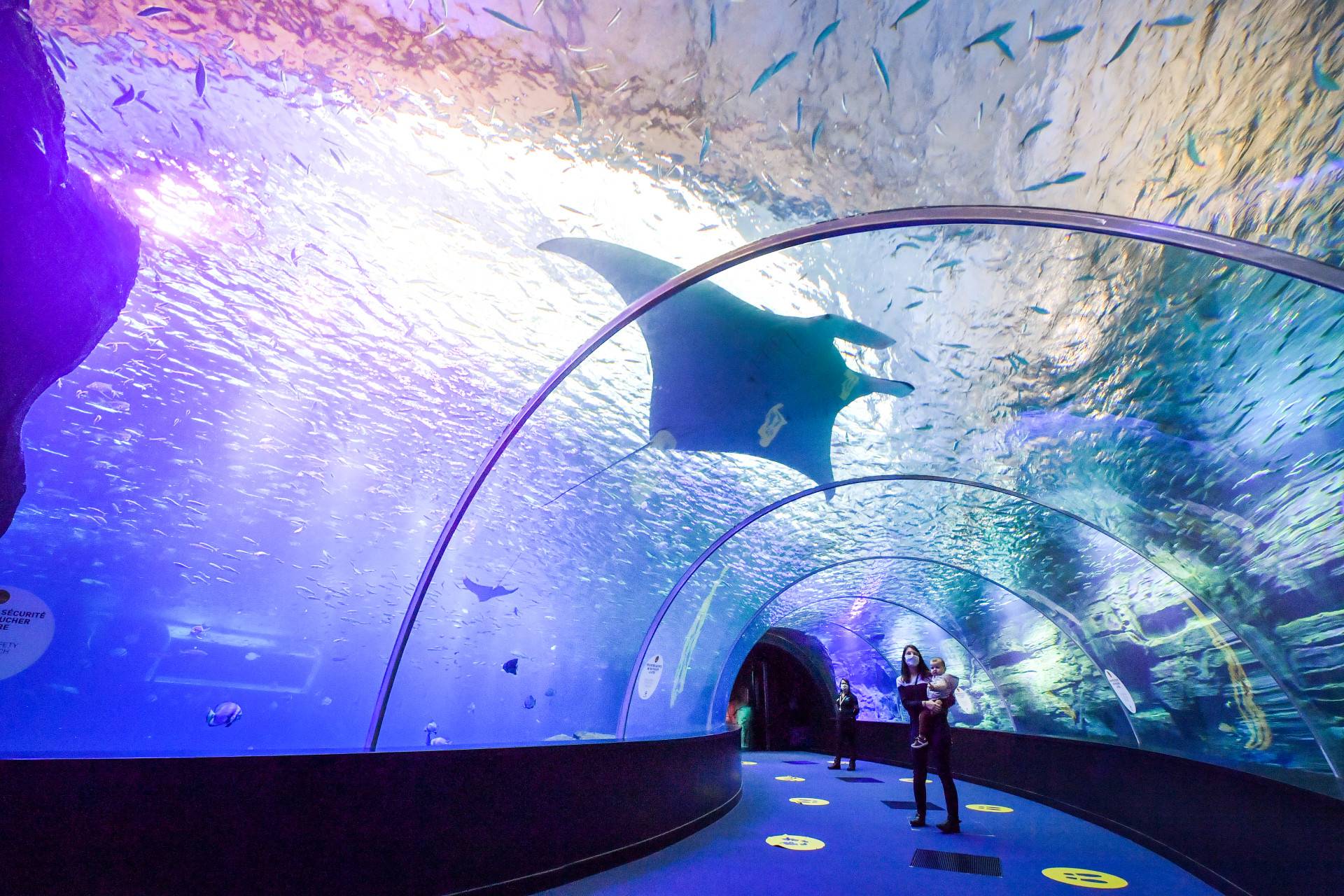 Activité : Nausicaa Centre National De La Mer
