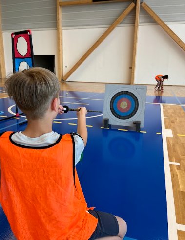 Activité : TIRS SUR CIBLES